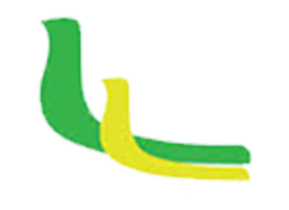 Mauritanie Airlines